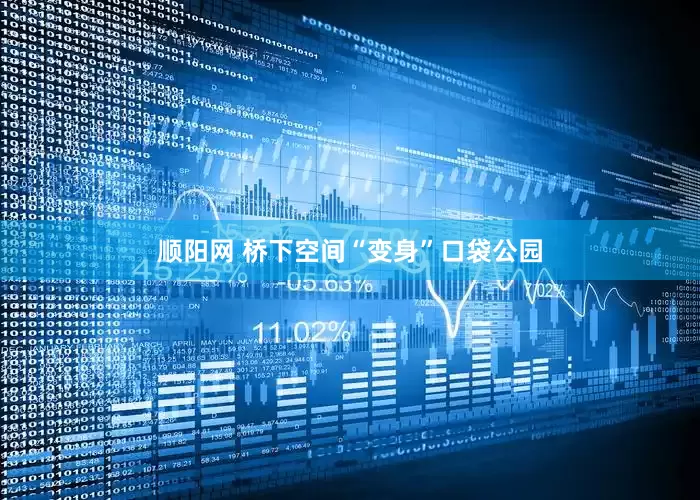 顺阳网 桥下空间“变身”口袋公园